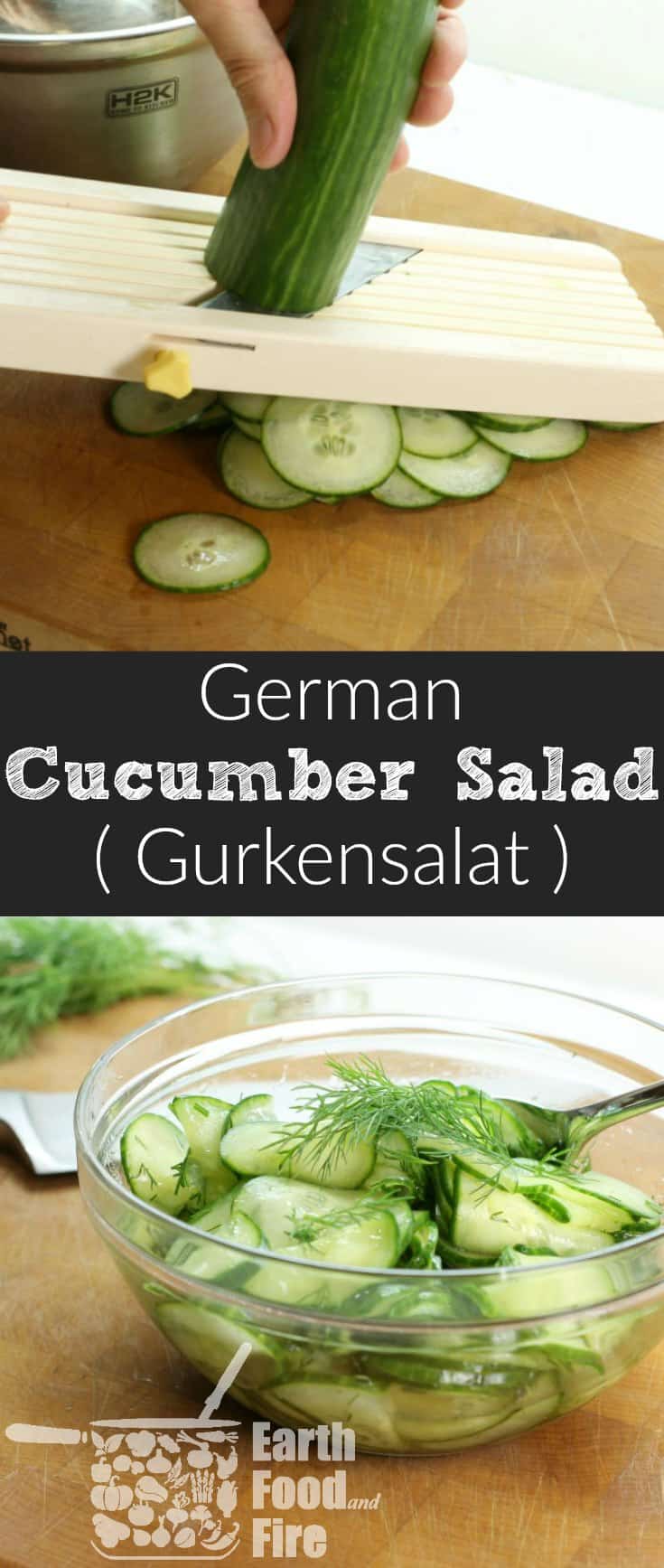 A quick and refreshing German Cucumber Salad recipe, featuring only 4 ingredients! Perfect with a light lunch or served alongside roasted meats! Gluten Free, Vegetarian, and Whole 30 friendly! #gurkensalat #cucumber #salad #glutenfree