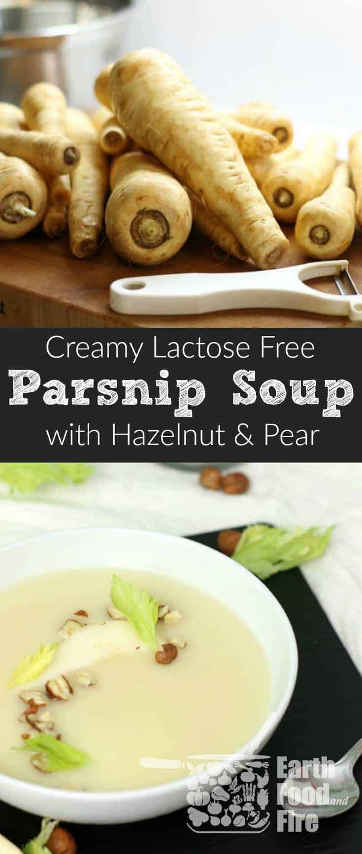 Silky smooth with a hint of pear and hazelnuts, this lactose free creamy parsnip soup is ideal for a Fall inspired appetizer or meal. #lactosefree #paleo #glutenfree #parsnip #soup