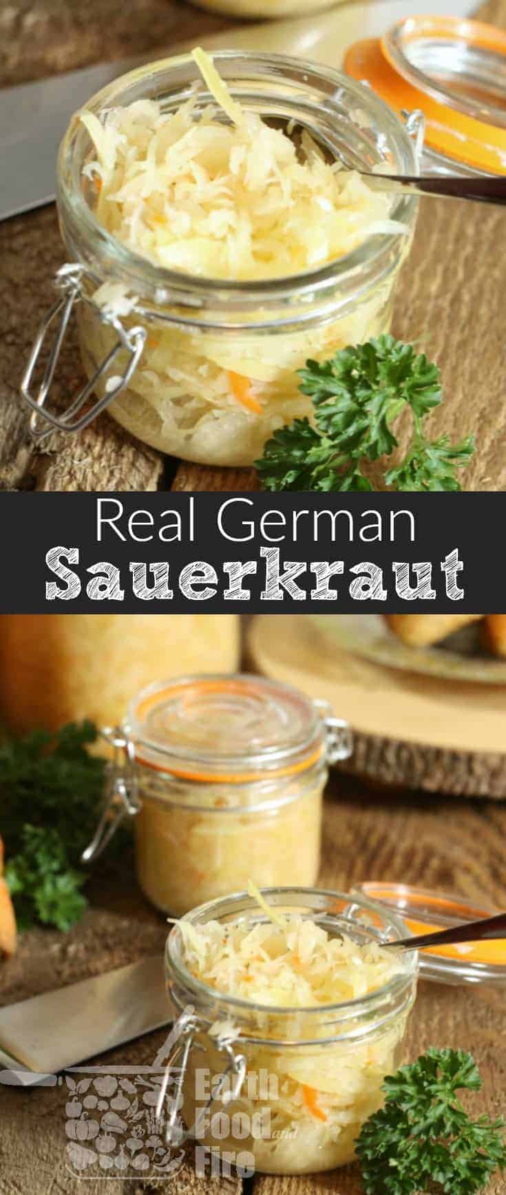 Easy to make a great for your health, learn how to make your own German Sauerkraut. Full of probiotics, vitamins, and a great way to preserve cabbage for the winter, sauerkraut can be eaten cold or hot with various dishes and meats! #fermented #sauerkraut #cabbage #condiment