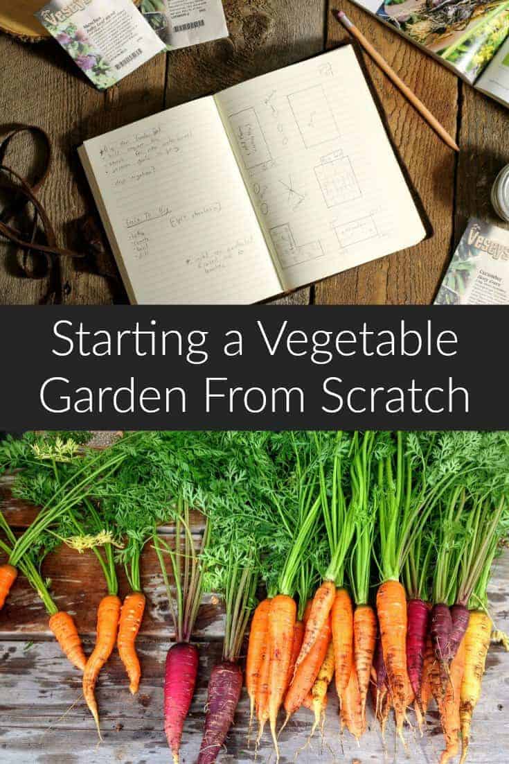 Learn how to start a vegetable garden from scratch and become a successful gardener. These basic gardening tips will help you understand what is needed to start a garden from scratch and set you in the right direction to getting the most out of your garden. #gardening #backyardgarden #vegetablegarden #diy