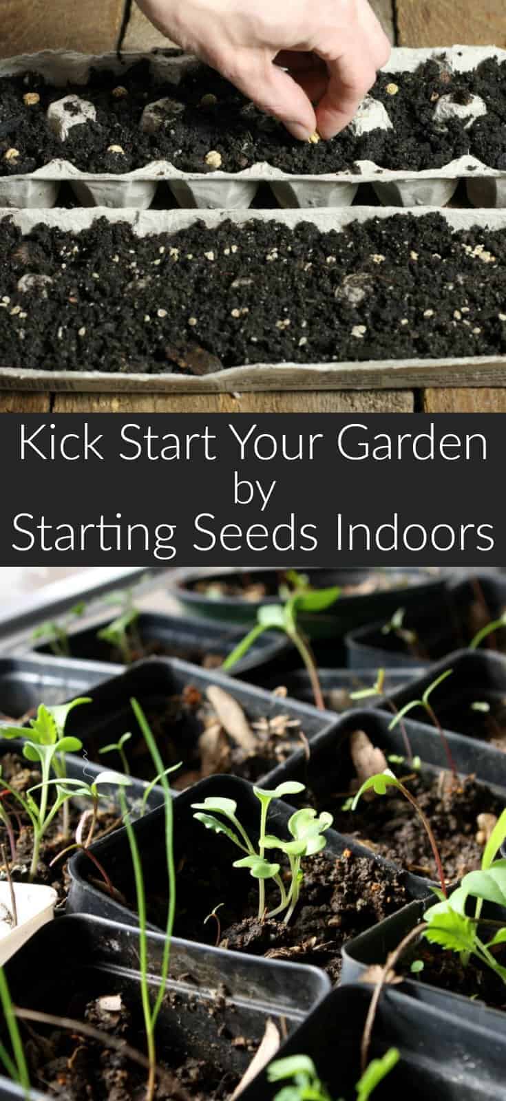 Starting seeds indoors is a great way to get a jump on the growing season & access fresh food faster! So simple to do, this guide will teach you all the basics of giving your garden a kick start for the growing season. #gardening #diy #seeds #greenthumb