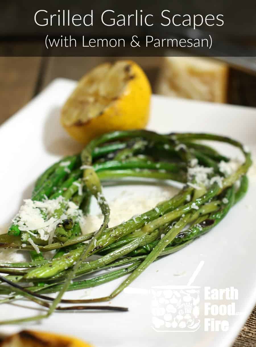 A quick summer side dish, these grilled garlic scapes garnished with lemon and Parmesan are a delicious addition to any BBQ or cookout. #garlicscapes #grilled #plantbased #BBQ