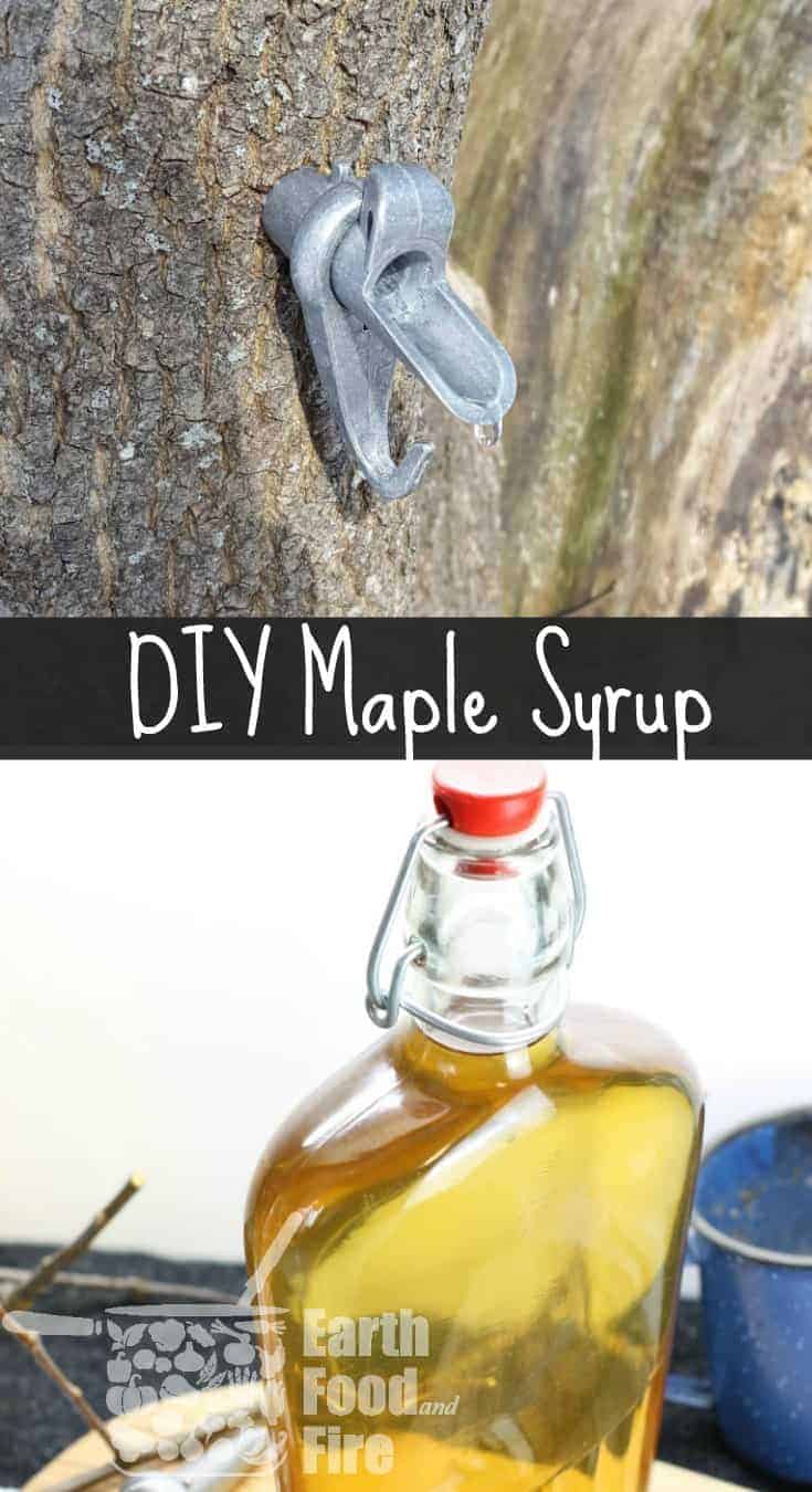 Learn how to make your own maple syrup at home. A DIY guide to backyard sugaring.