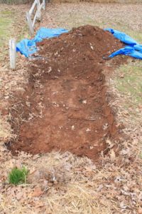 vegetable garden dug in the ground