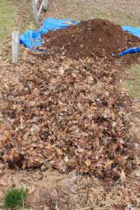 leaf layer in the hugelkulture bed