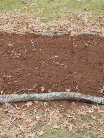 garden plot