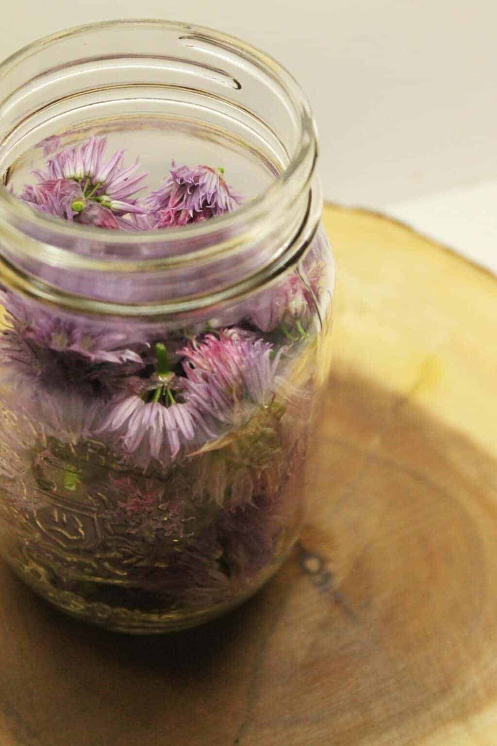 A mason jar packed with freshly picked chive flowers and white vinegar.