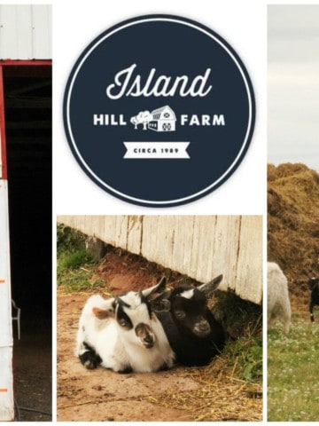 Island Hill Farm