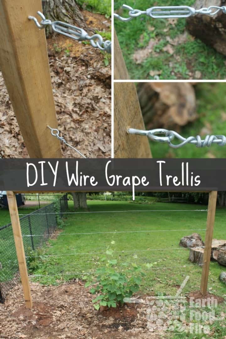 Learn how to build a wire trellis with this DIY weekend project. This trellis is great for climbing vegetables, grapes and even roses!