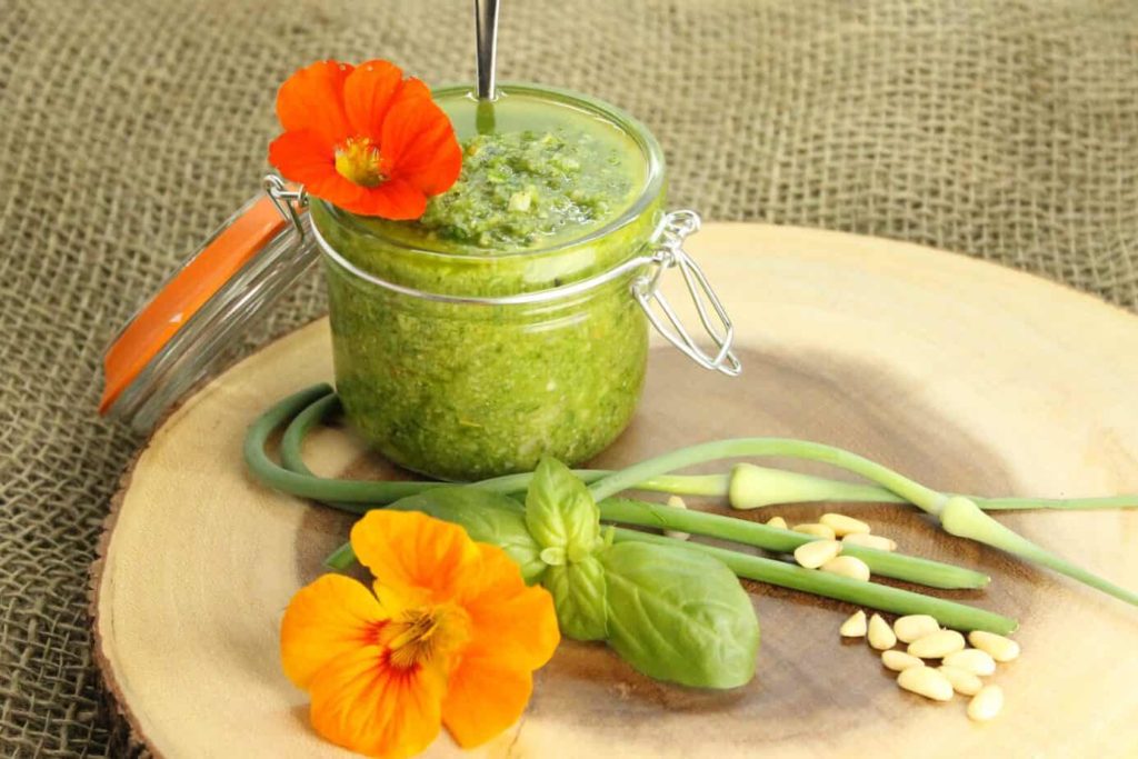A deliciously simple Basil Pesto recipe using Garlic Scapes from the garden. A great way to preserve your basil harvest.