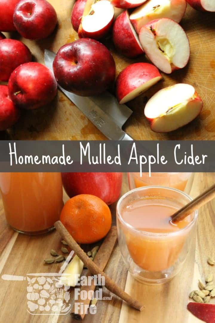 Muleld apple cider using fresh apples is easy to make and so delicious!