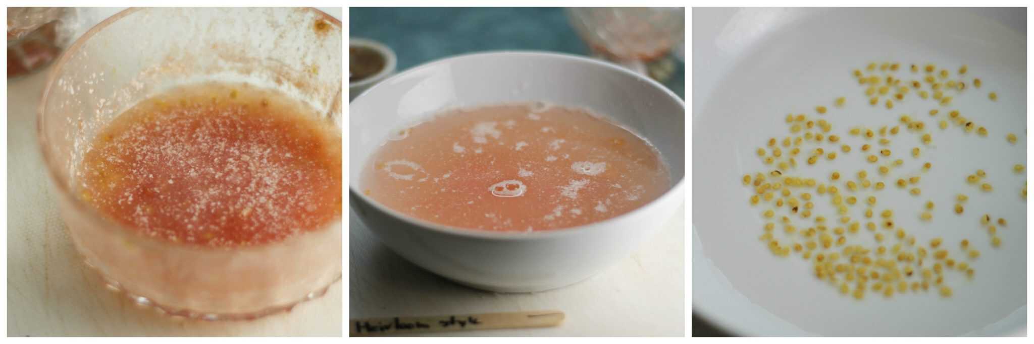 Wash fermented tomato seeds before storing to ensure proper germination and a better yield.