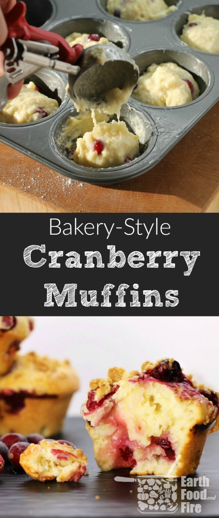 Bake these delicious bakery-style cranberry muffins at home! Perfect for breakfast these muffins are fluffy, moist & full of fresh fruit, a hit in any family!