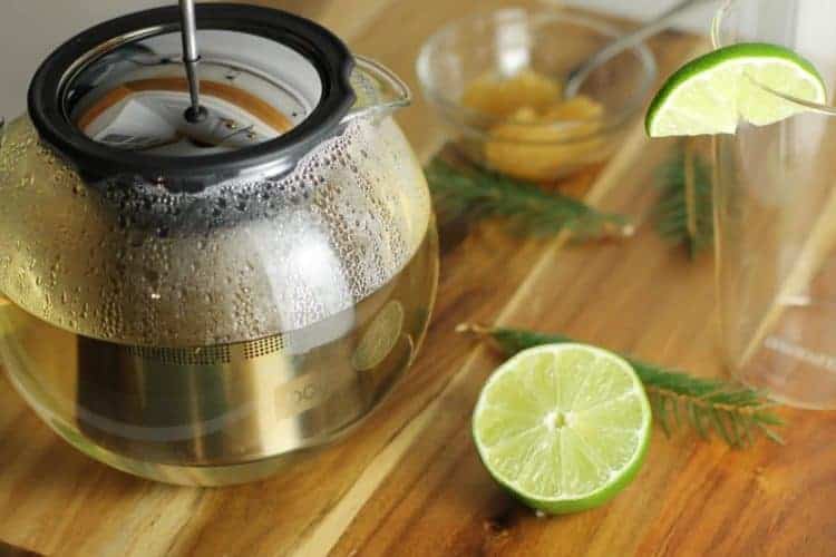 A glass teapot surrounded by various ingredients and filed with spruce tea