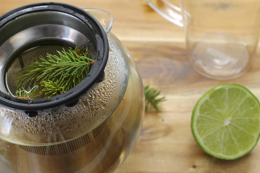 Spruce Tea with Honey & Lime Earth, Food, and Fire