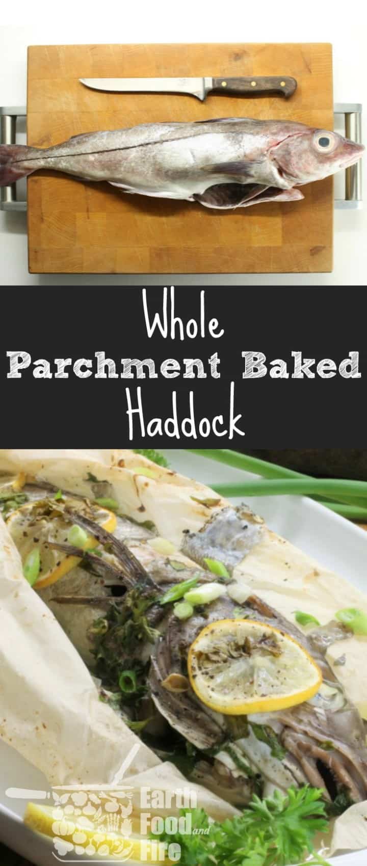 Baking fresh haddock in parchment ensures the fish remains moist & all the flavour stays in the dish. An easy beginner recipe, perfect for a simple supper.