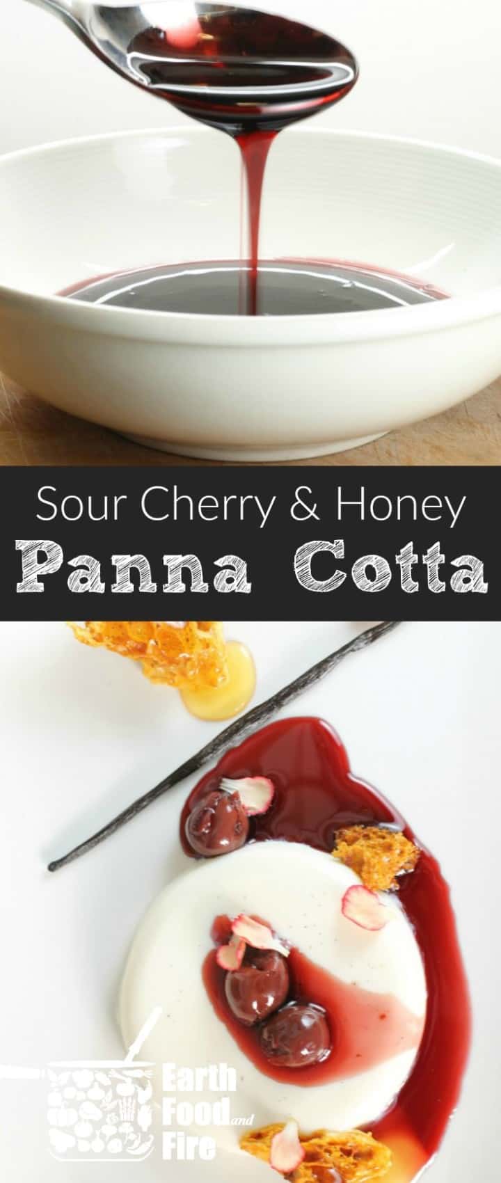 A surprisingly simple yet stunning dessert, this Honey Panna Cotta, garnished with cherries & sponge toffee is sure to impress any guest or date! #pannacotta #holiday #dessert #easydessert #cherry #sourcherry #honey