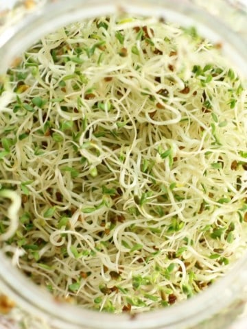 Learn how to grow sprouts at home, easy and a fun project for kids!
