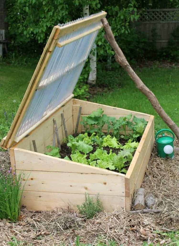A gardening cold frame with its lid prop-ed open.