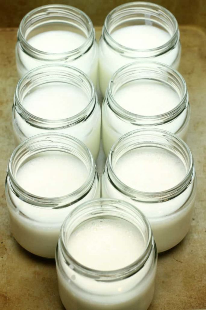 Cooking with Yogurt & a review of 'Yogurt Every Day'