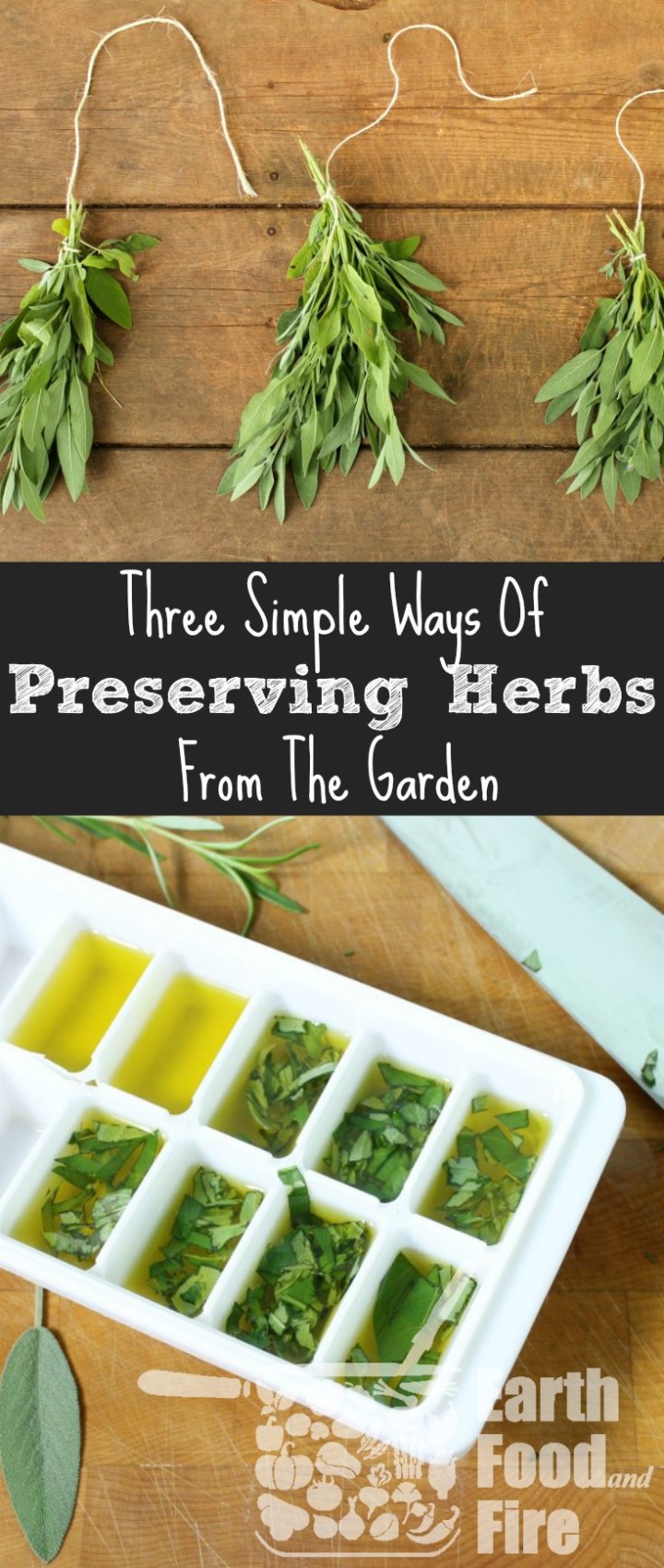 Preserving herbs is an easy way to save money, stock your spice shelf, and create homemade condiments. Learn the 3 easiest ways to store your fresh herbs, including drying herbs, and infusing your own oils!