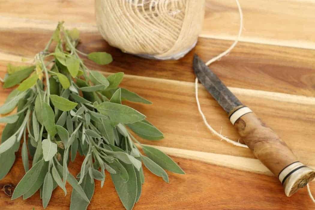 3 Easy Ways of Preserving Herbs from the Garden - Earth, Food, and Fire