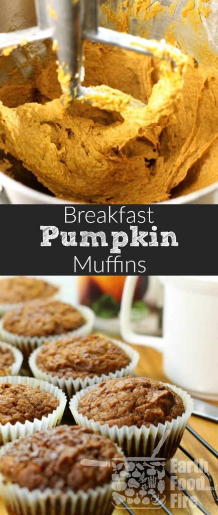 A deliciously moist, and easy to make pumpkin breakfast muffin. A great way to start your fall day, and an easy way to sneak vegetables into your kids breakfast! #pumpkin #muffin #breakfast #fall #baking