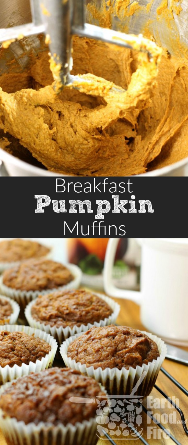 Pumpkin Breakfast Muffins - Earth, Food, and Fire