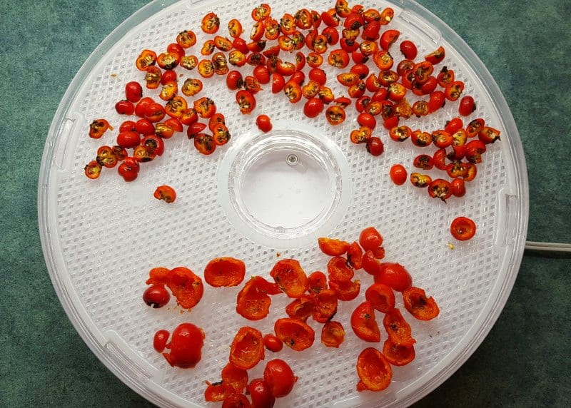 Dry rose hips by using a dehydrator or spreadin on a cloth in the sun.