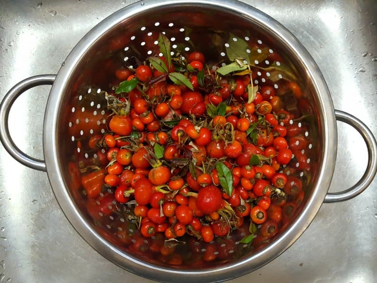 Wash the rose hips before triming the tops and bottoms off them