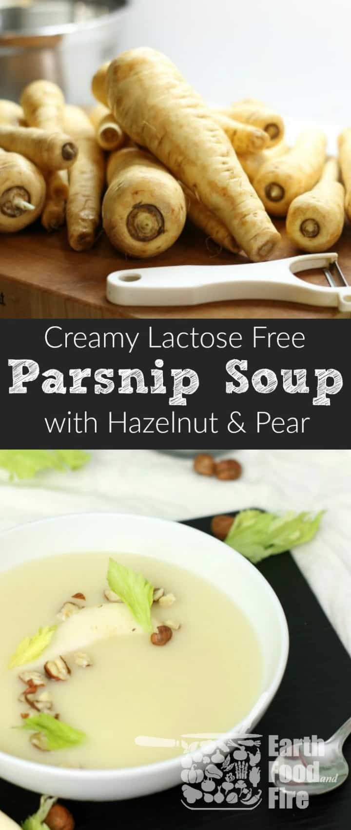 Silky smooth with a hint of pear and hazelnuts, this lactose free creamy parsnip soup is ideal for a fall inspired appetizer or meal. #lactosefree #paleo #glutenfree #parsnip #soup