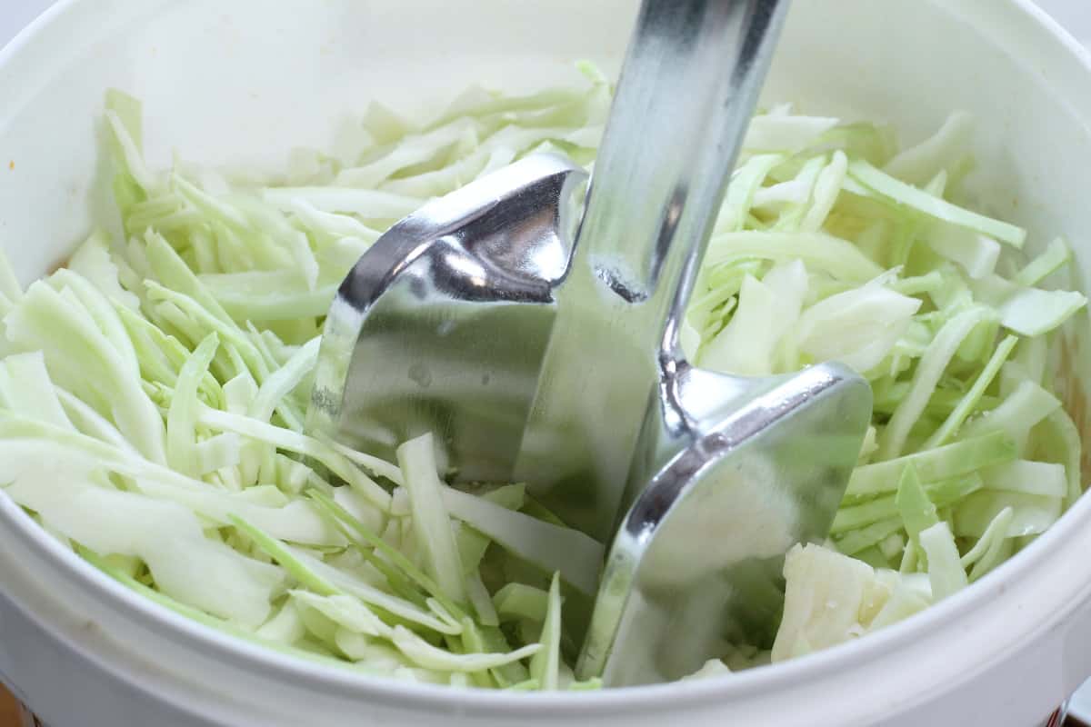 Shredded cabbage in a white bucket being pounded with a meat mallet to extract the natural juices.