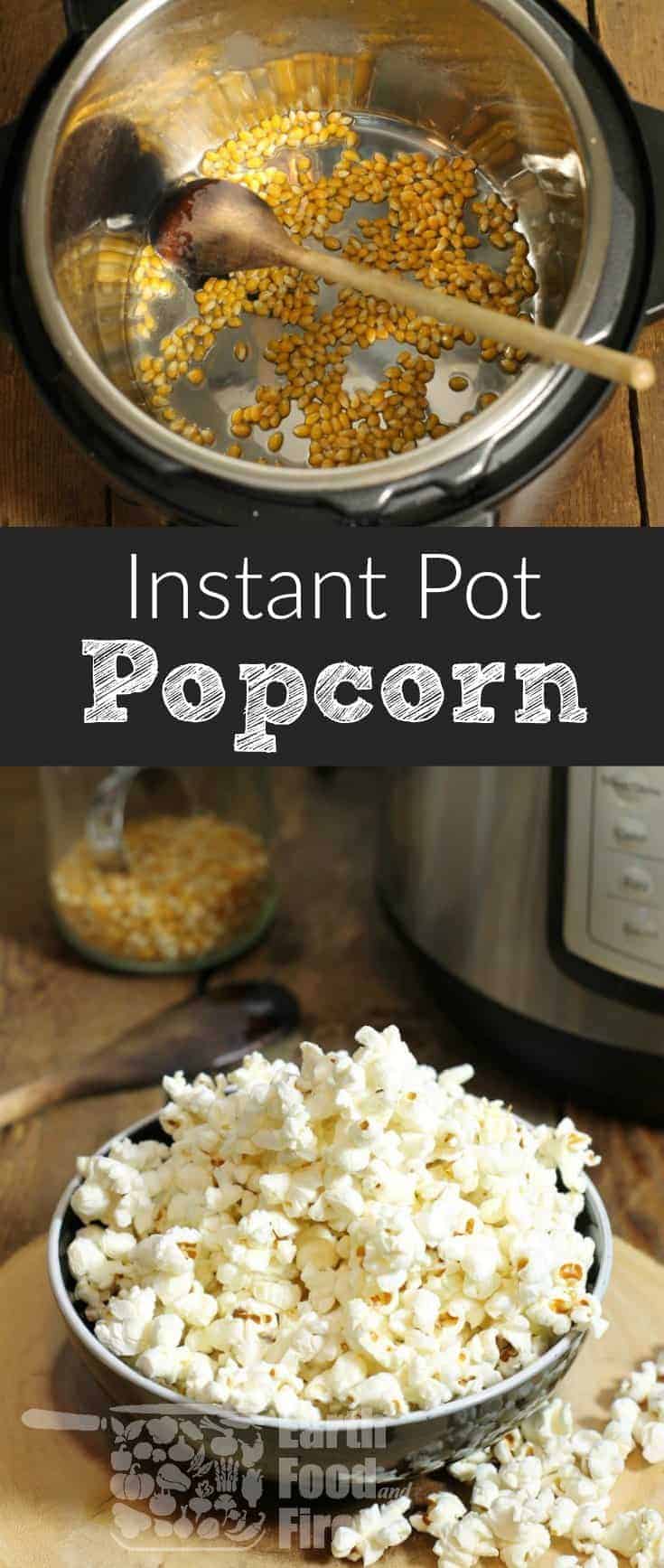 Instant Pot Popcorn + 6 Popular Seasonings - Earth, Food, and Fire