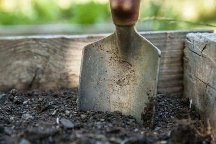 a garden trowel stuck in the dirt in a raised garden bed