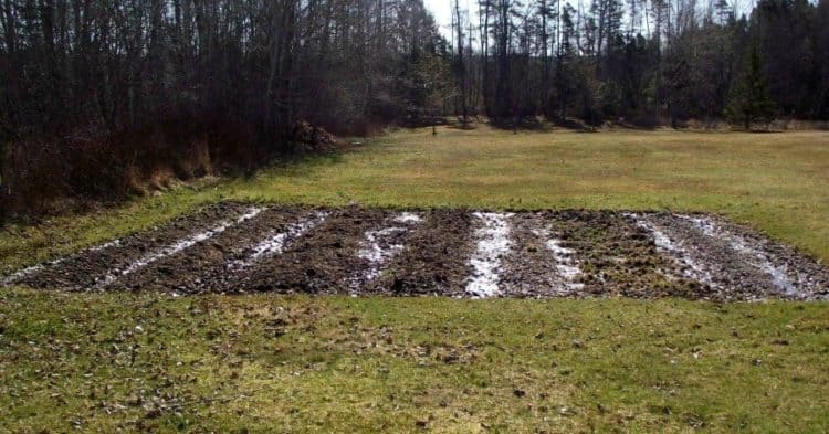 a large tilled vegetable plot ready to be worked.