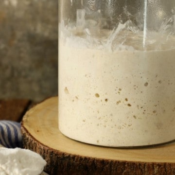 How to make sourdough starter from scratch . A close up shot of homemade sourdough starter in a glass jar
