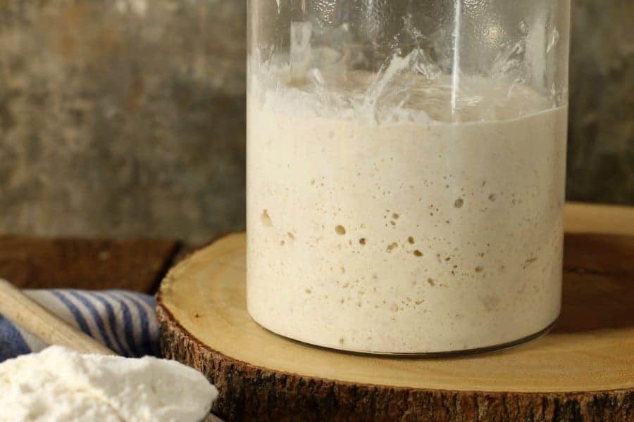 A close up shot of homemade sourdough starter in a glass jar