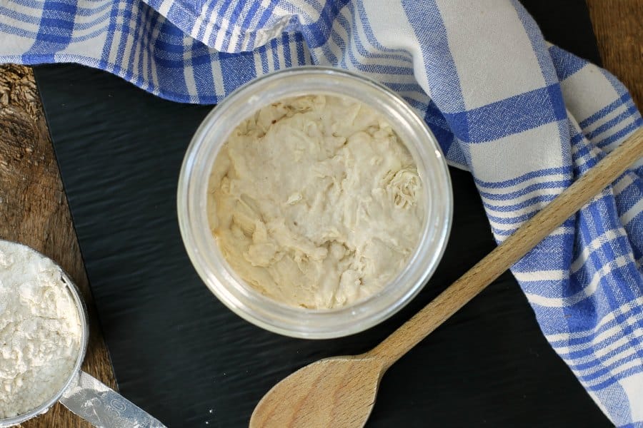 https://www.earthfoodandfire.com/wp-content/uploads/2018/04/sourdough-starter-fermenting.jpg