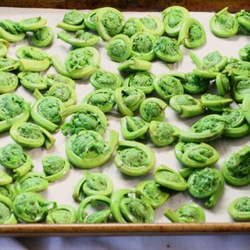 blanched fiddleheads layed out on a tray ready to be frozen