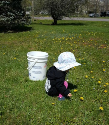 a child picking dandelions in a grassy field