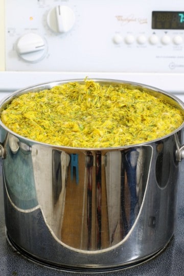 a pot of dandelion petals simmering on the stove