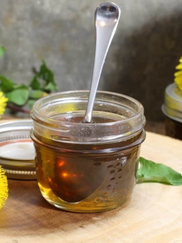 The Easiest Dandelion Syrup (Dandelion Honey)