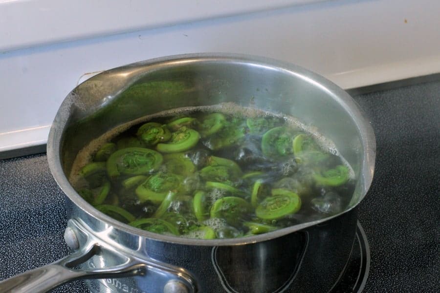 fresh fiddleheads cooking in a pot of water