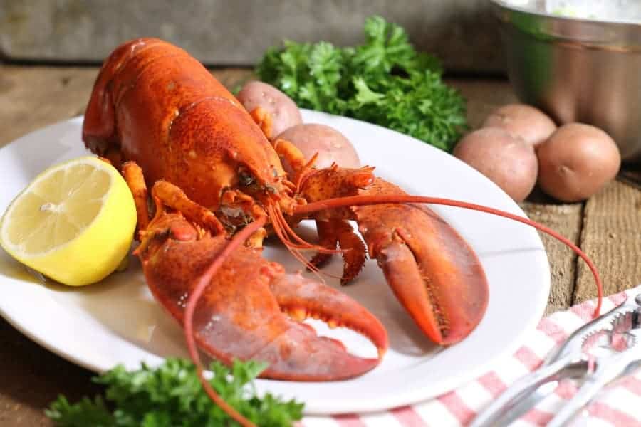 Lobster Stock - A Family Feast®