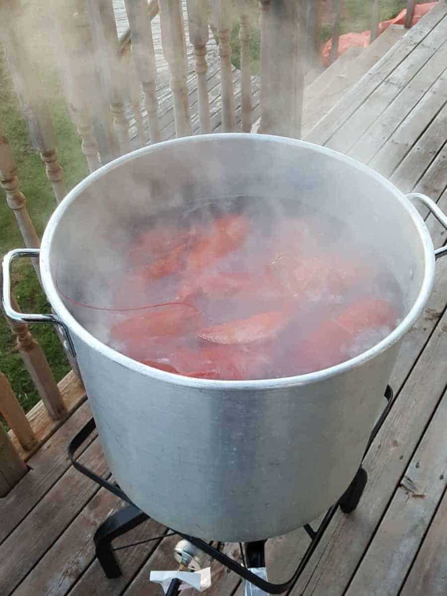 lobsters cooking in a pot of boiling water