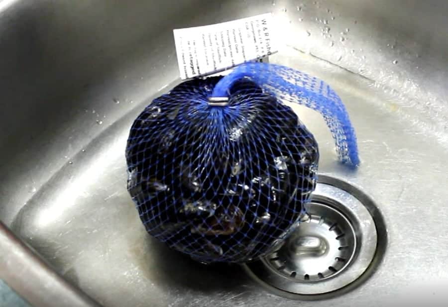 a mesh bag of recently purchased mussels in a sink - how to clean mussels