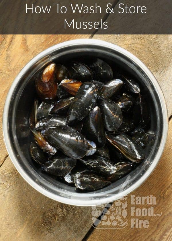 how tyo wash mussels pin