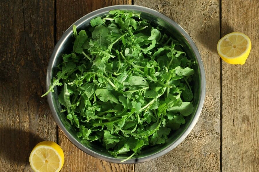 A metal bowl filled with fresh picked local arugula