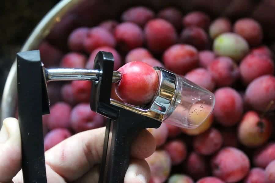 a wild plum in a cherry pitting tool to remove the pit