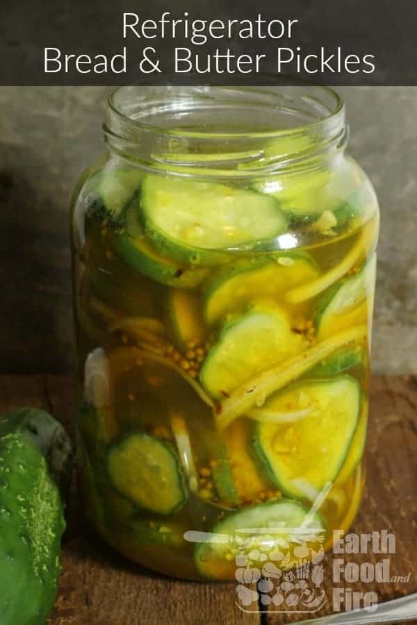 A jar of refrigerator pickles infront of a grey background with the text 'Refrigerator Bread and Butter Pickles' across the top